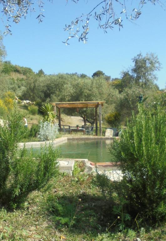 La Casina Di Giannetto ξενώνας Seggiano Εξωτερικό φωτογραφία