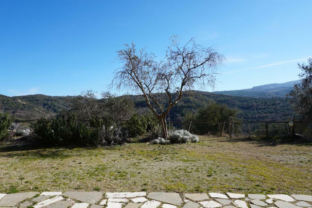 La Casina Di Giannetto ξενώνας Seggiano Εξωτερικό φωτογραφία